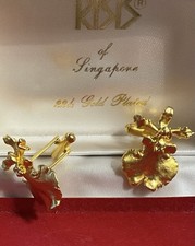 Seltene RISIS Singapur