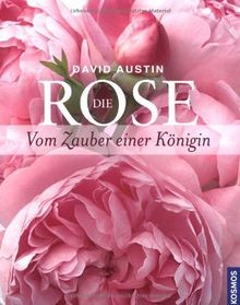 Die rose vom zauber - rose:,