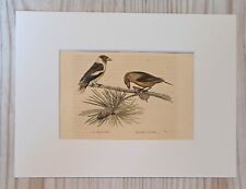 1852 Lithographie Kunstdruck