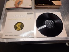 Beethoven Ilona Steingruber