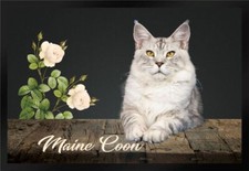 Fußmatte Schmutzfangmatte Rassekatze Katze Maine Coon F1231