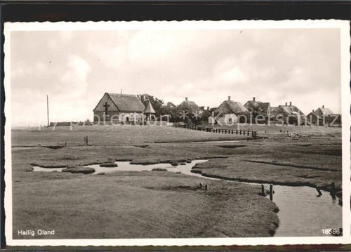 Hallig oland - hallig,
