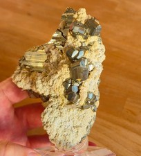 🔥Video 😍Top schöne