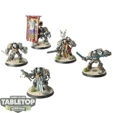 Grey Knights - 5 Grey Knights Paladins - bemalt