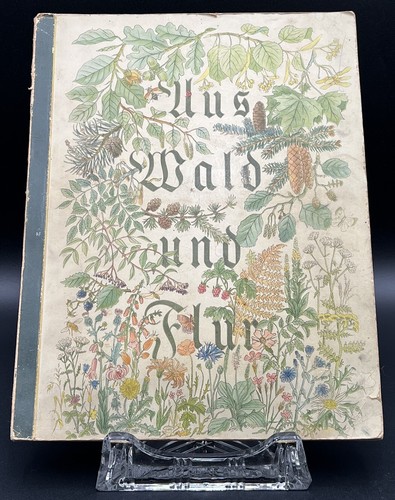 Antikes buch aus wald und - buch, flur