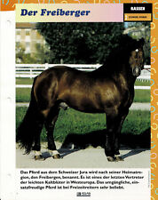 Der Freiberger (Schwere Pferde) - Infokarte