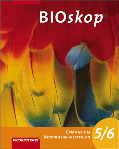 Bioskop si - bioskop,