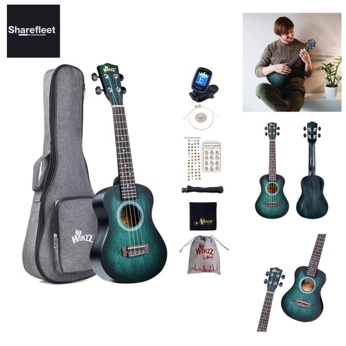 Ukulele konzert anfänger - ukulele,