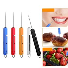 Tragbarer Titan Zahnstocher