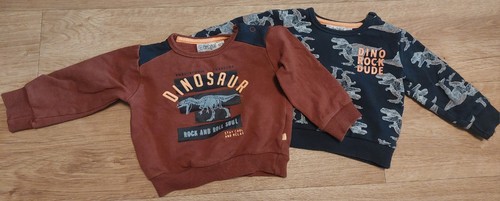 Dirkje pullover dinosaurier - dirkje,