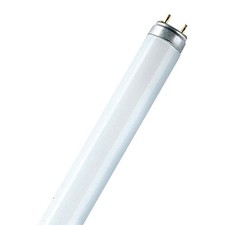Osram Lumilux T8