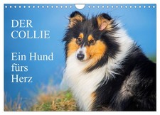 Der collie ein - -,