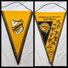 Orig Großer Wimpel 36 cm BSG