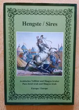 Hengste - Arabisches Vollblut