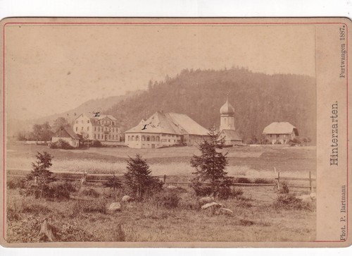 Bartmann kab hinterzarten - bartmann,