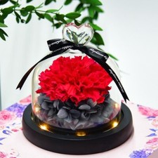 Rote Rose in Top Herz