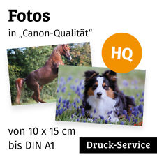 Ihr Foto Druck Service, Poster Druck, viele Papiere, alle Formate bis DIN A1