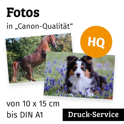 Ihr foto druck service poster - foto,