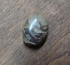 Stromatolith,USA, aus meiner Sammlung.Trommelstein.