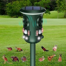 Katzenschreck Reiherschreck