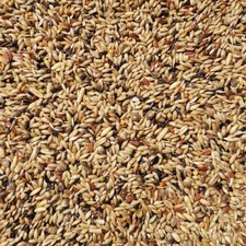 Supravit Kanarienfutter ohne