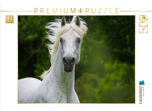 Calvendo puzzle traumpferd - calvendo,