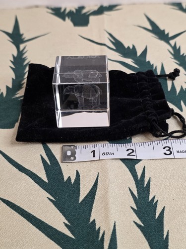 Laser engraved polar - laser-engraved, bear