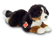 Teddy hermann berner - hermann,
