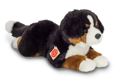 Teddy hermann berner - hermann,