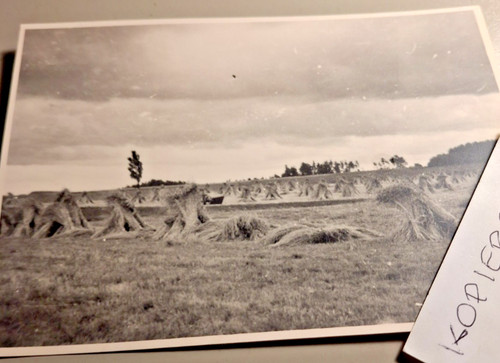 Altes foto vintage - foto,