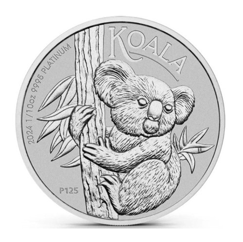 Koala 2024 platinmünze 10 - koala,