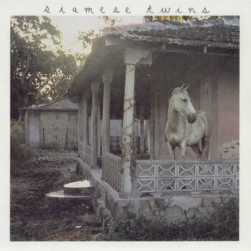 Siamese twins box vinyl - in,