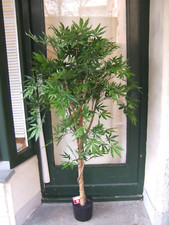 Künstlicher Baum jap. Ahorn