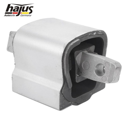 Hajus lagerung motor - hajus,