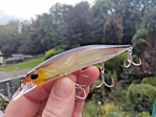Wobbler aew ayu hecht - aew, 12