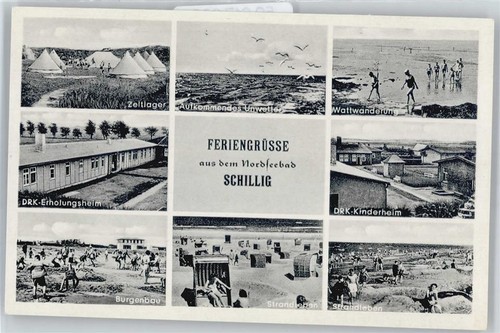50617892 2942 schillig - 2942,