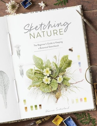 Dianne sutherland sketching - sutherland,