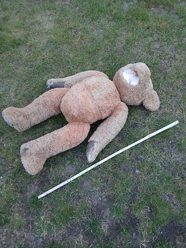 Großer alter teddy bär - großer,