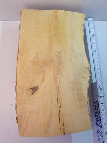 Halb stamm drechselholz - 1,