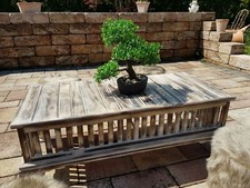 Couchtisch antik finish shabby Landhaus massivholz Tisch retro