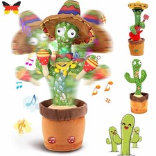 Sprechender Kaktus Kaktus