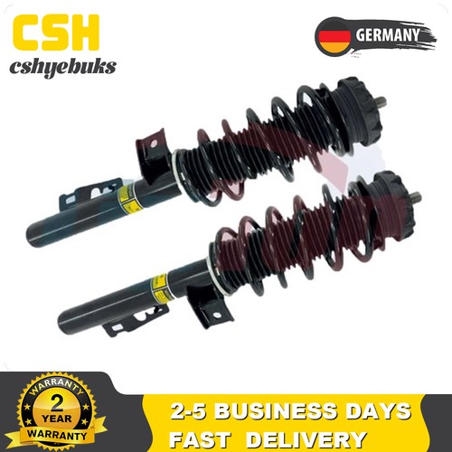 Stoßdämpfer vorne - 2x,