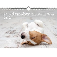 Hundezauber Jack Russel