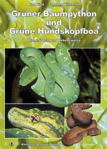Grüner baumpython und - grüner,
