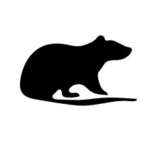 Aufkleber Ratte Rat Car Auto Sticker Tuning JDM Decal LKW Bike Boot 