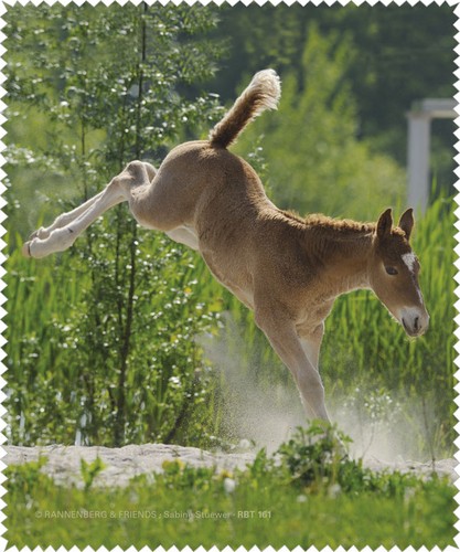 Brillenputztuch curly horse - "curly, horse"