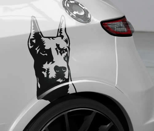 Auto aufkleber dobermann - aufkleber,