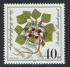 1108 Wohlfahrt Wassernuß