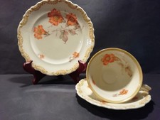 Alte Porzellan Sammeltasse