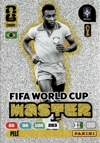 Panini fifa world cup master - panini,